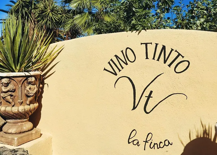 Vino Tinto 4