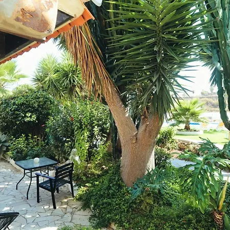 Vino Tinto 4 Apartmán Icod De Los Vinos